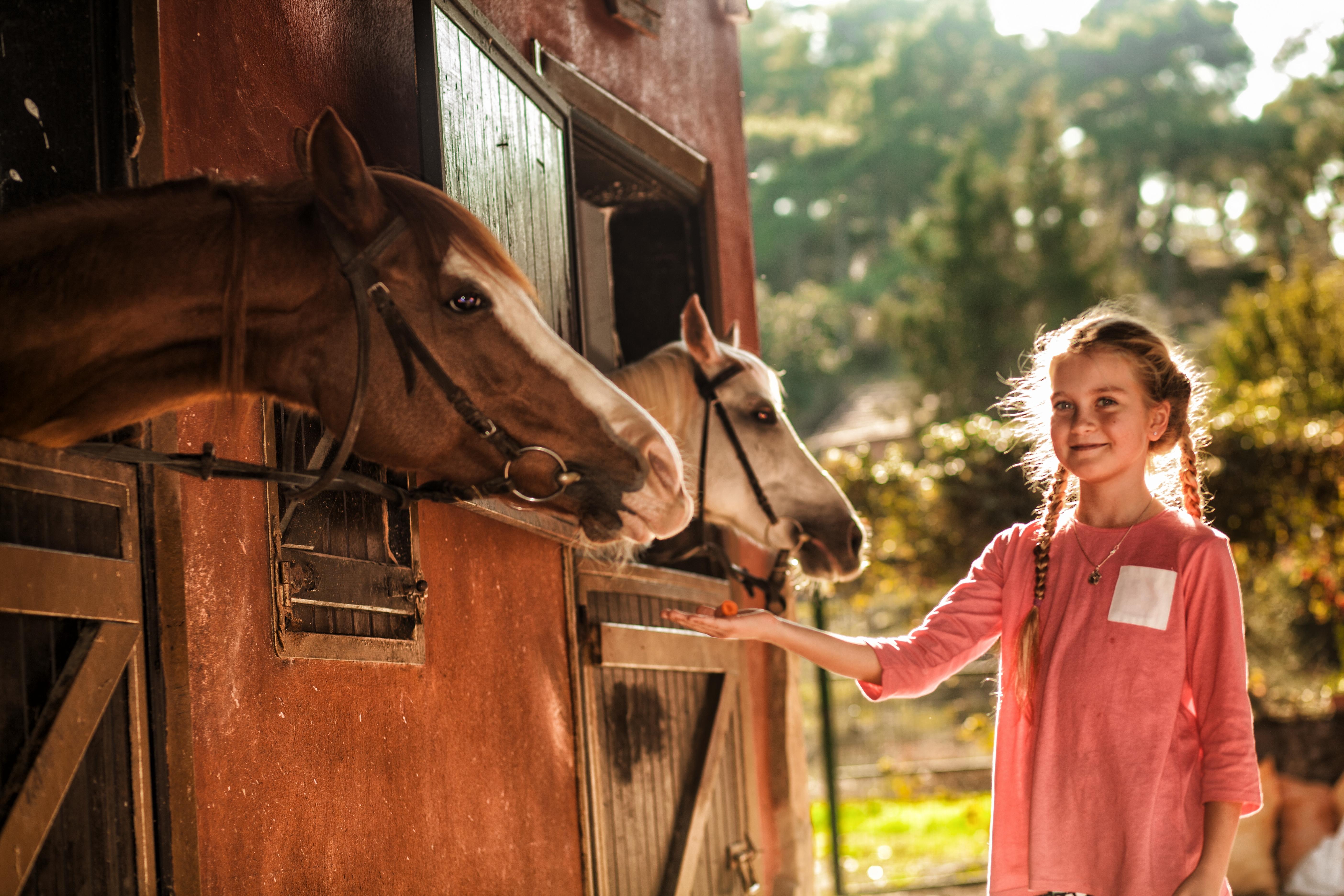 קמר Hotel Berke Ranch&Nature מראה חיצוני תמונה