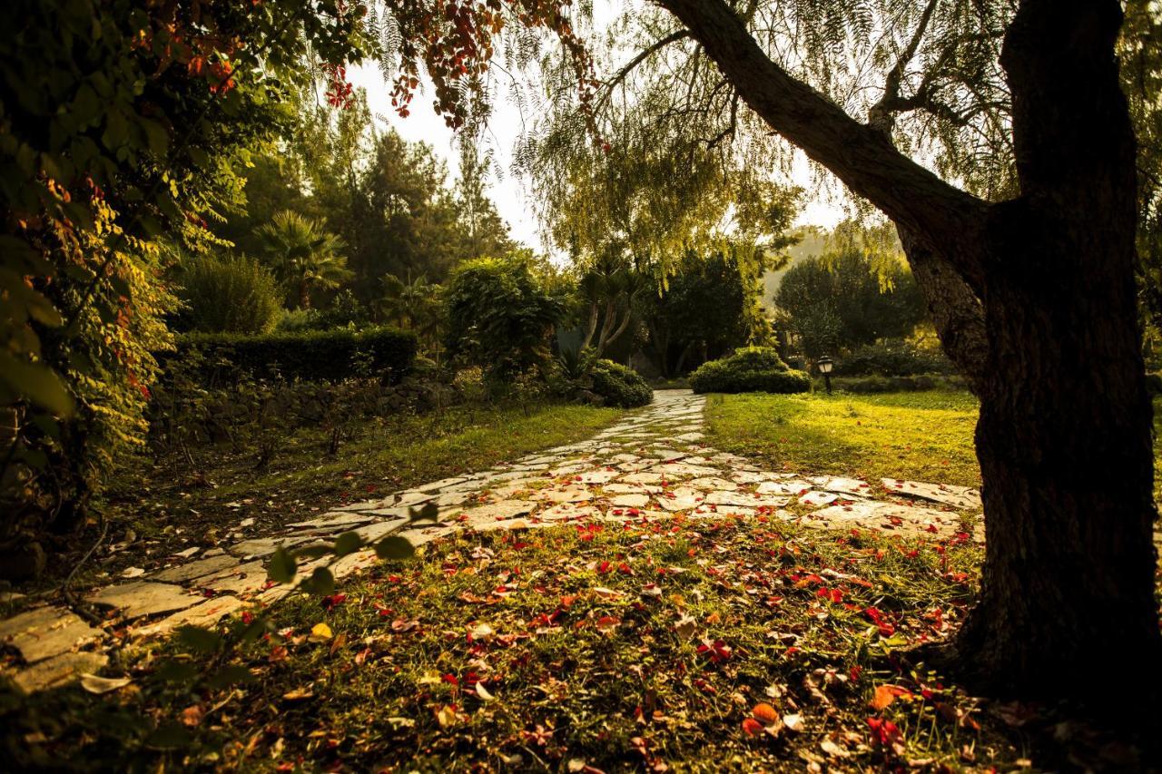 קמר Hotel Berke Ranch&Nature מראה חיצוני תמונה